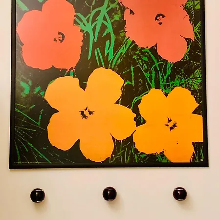 Deluxe Casa Boffa-costa 公寓 都灵